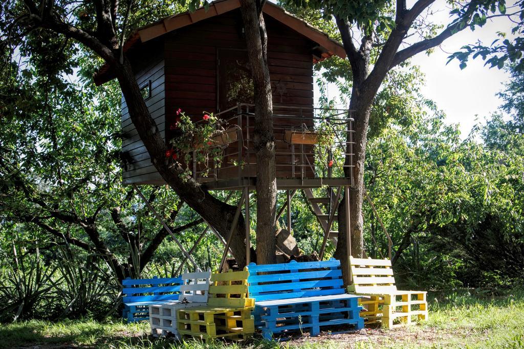 Quinta Do Pinheiral Villa Favoes Luaran gambar